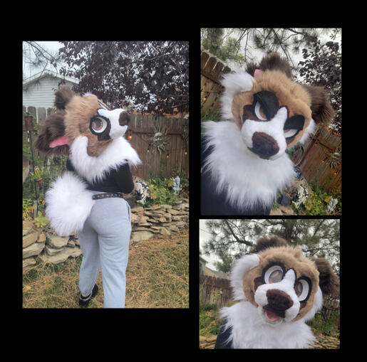 Laika: Raffle Mini Partial- Oct. 2025