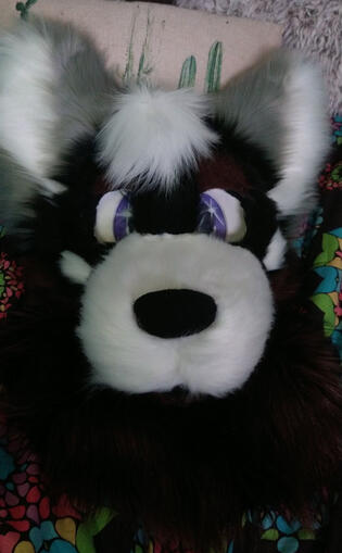 Astro: Malamute Premade- Feb. 2021