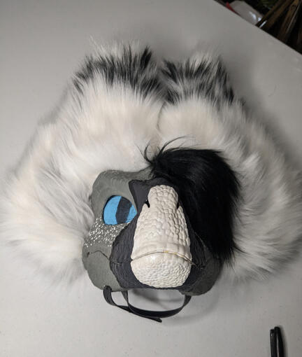 Whisper: raptor w/furred ears pers. suit- Jan. 2022