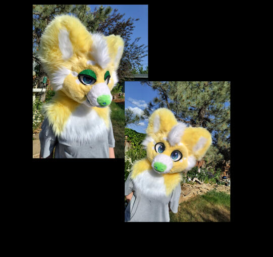 Lemon: Head Only Commission- June 2025