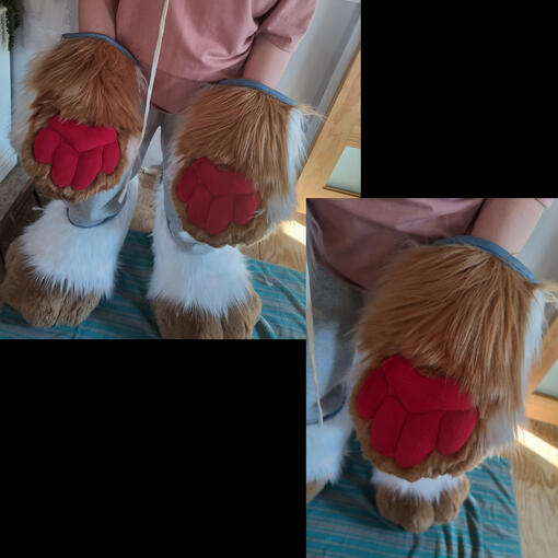 Mitten Paws- Jan. 2025 (better pic otw)