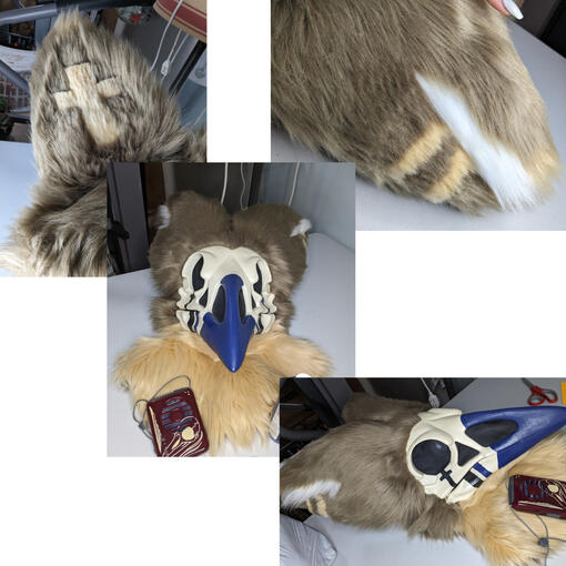 Dakota: skull crow pers. suit-March 2021